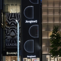 Miniatura de lista para el proyecto Desigual