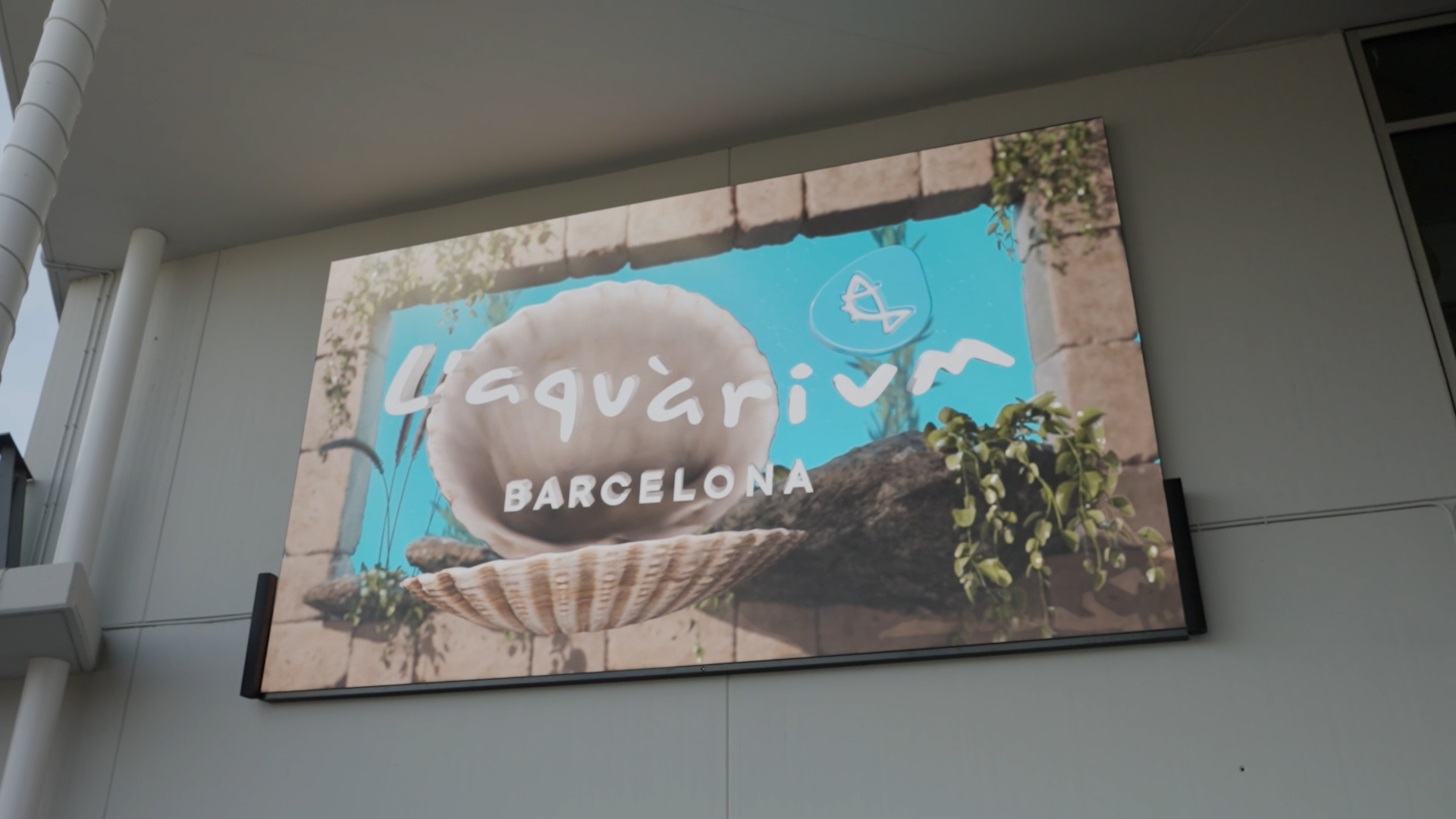 Exterior LED screen with 3D content and holographic fan at L’Aquàrium de Barcelona