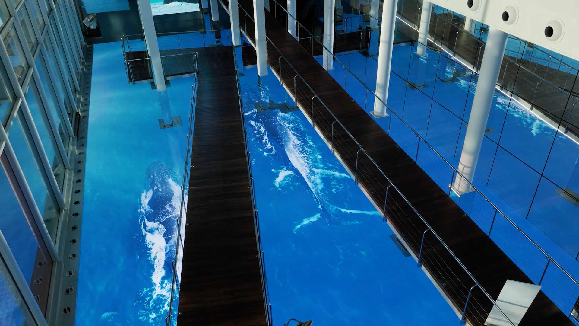 Digital LED floor recreating a moving ocean inside L’Aquàrium de Barcelona